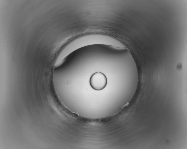 X0000113060352200909182006