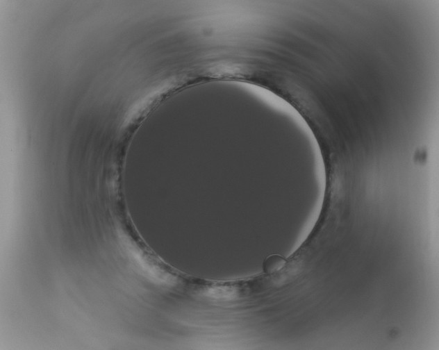 X0000113060353200909182006