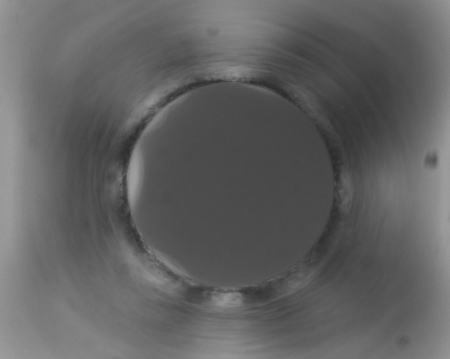 X0000113060355200909182006