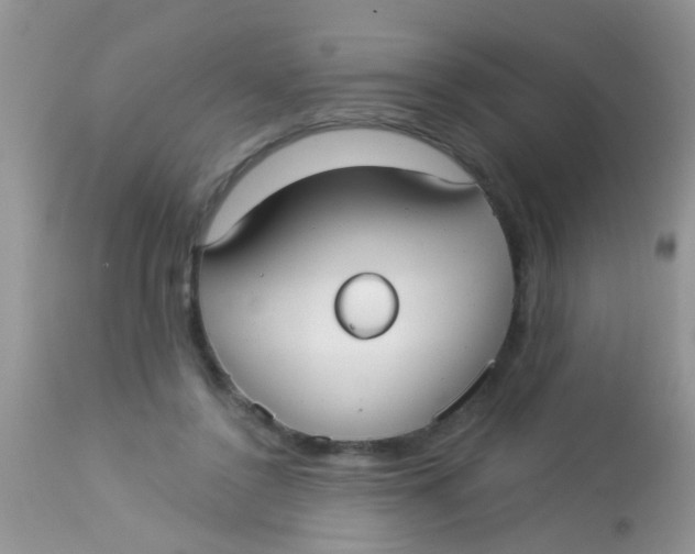 X0000113060356200909182006