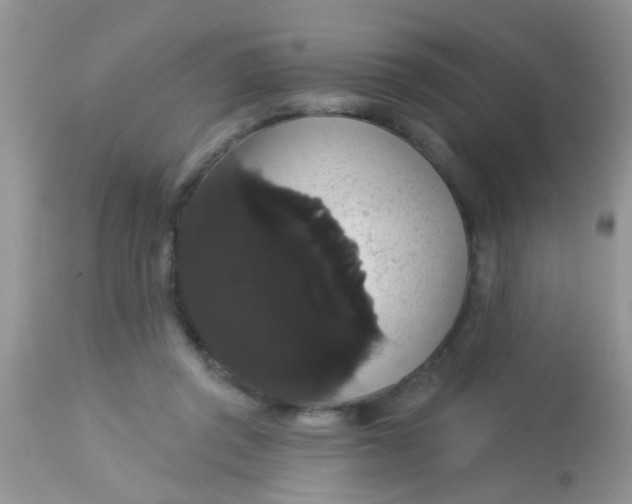 X0000113060357200909182006