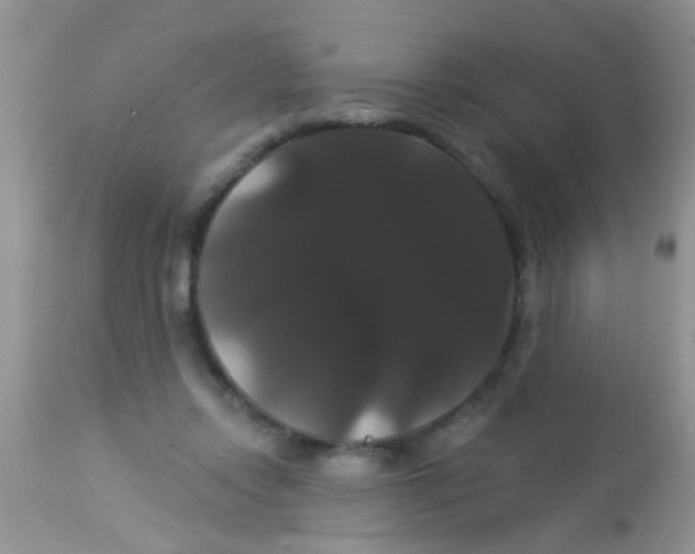 X0000113060358200909182006