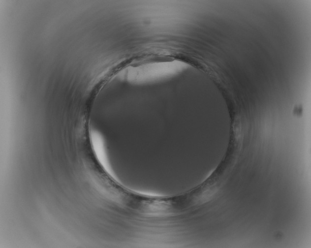 X0000113060359200909182006