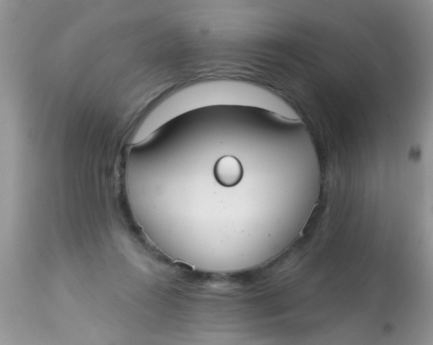 X0000113060360200909182006