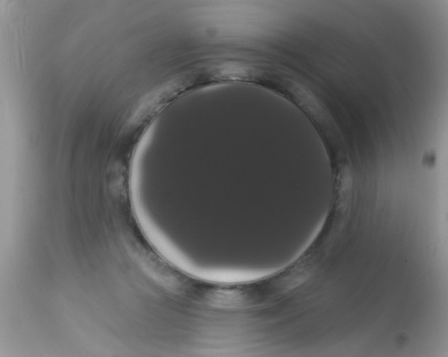 X0000113060361200909182006