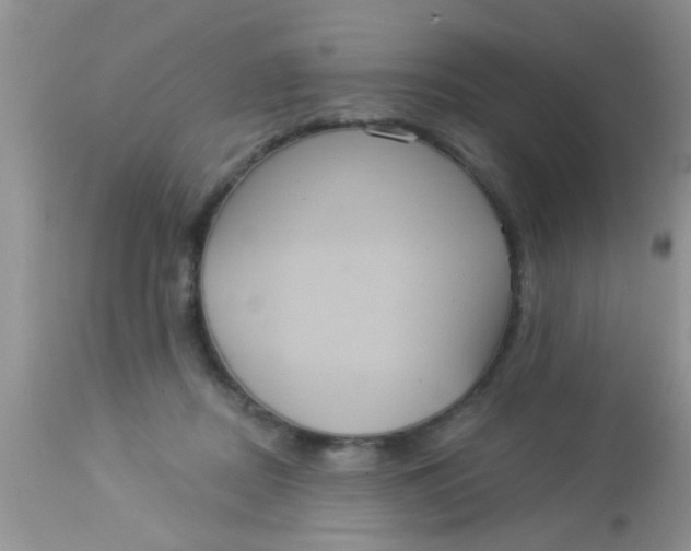 X0000113060362200909182006