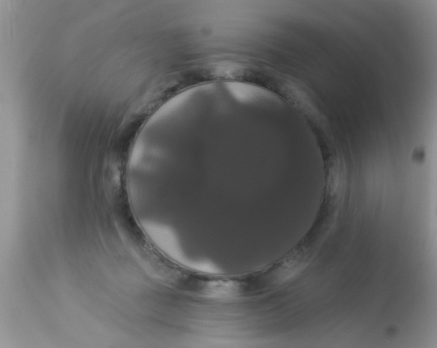 X0000113060363200909182006