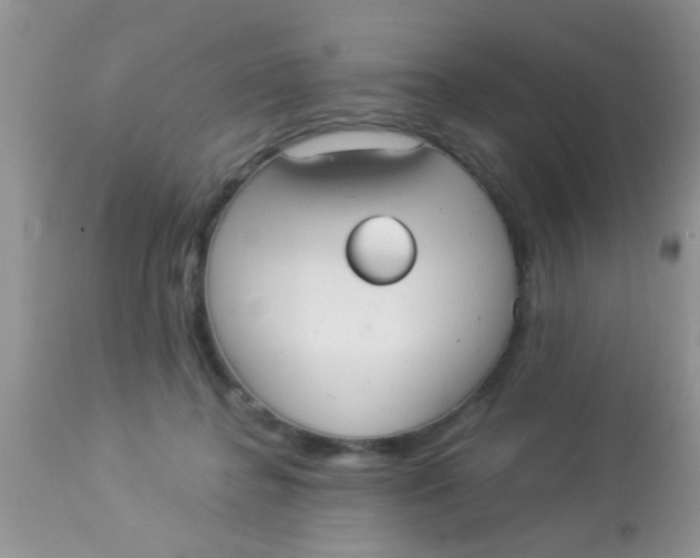 X0000113060364200909182006