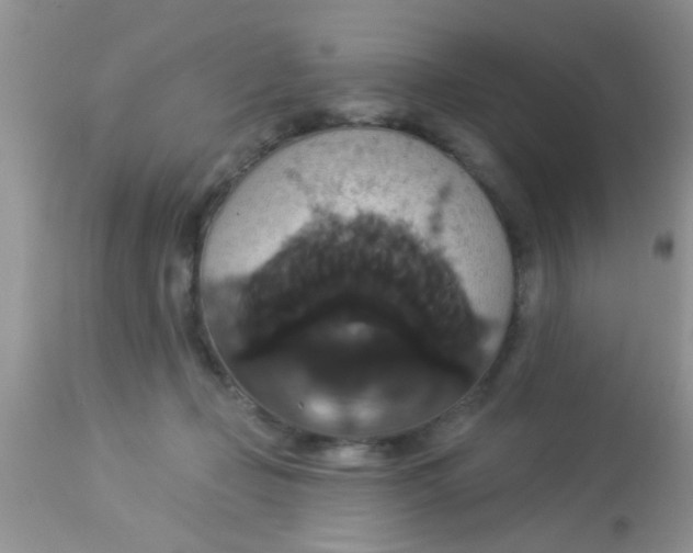 X0000113060365200909182006