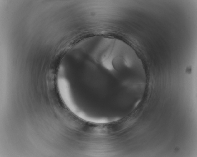 X0000113060366200909182006