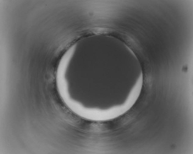 X0000113060367200909182006