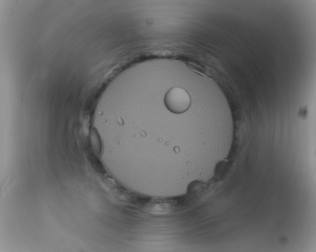 X0000113060368200909182006