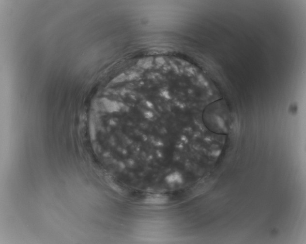 X0000113060369200909182006