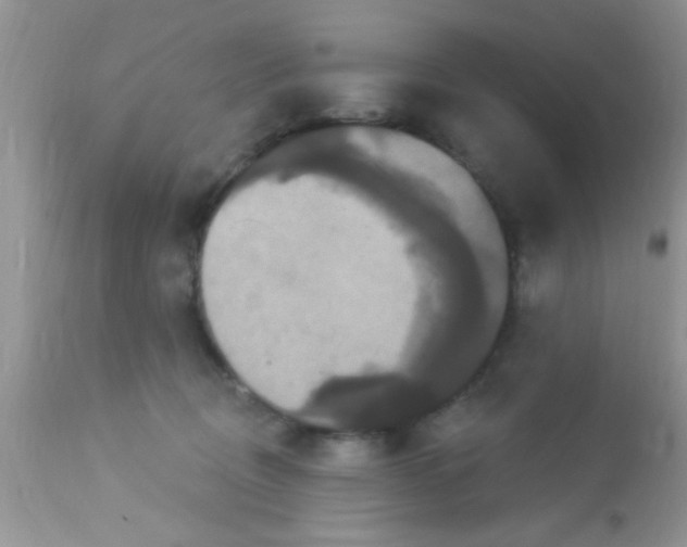 X0000113060370200909182006