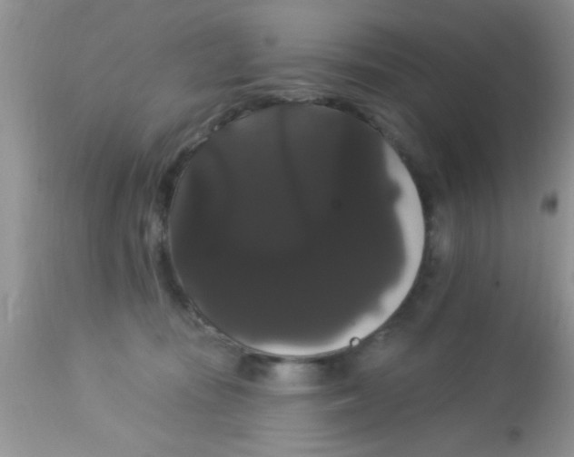 X0000113060371200909182006