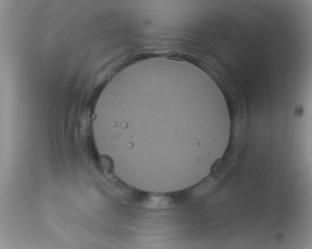 X0000113060376200909182007