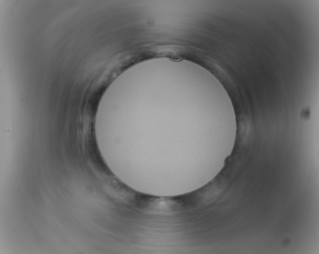 X0000113060379200909182007