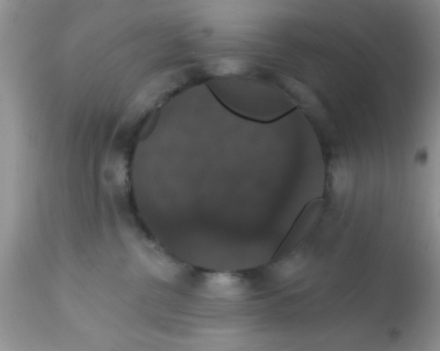 X0000113060380200909182007