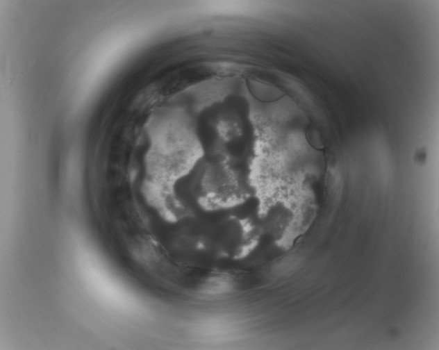 X0000113060381200909182007