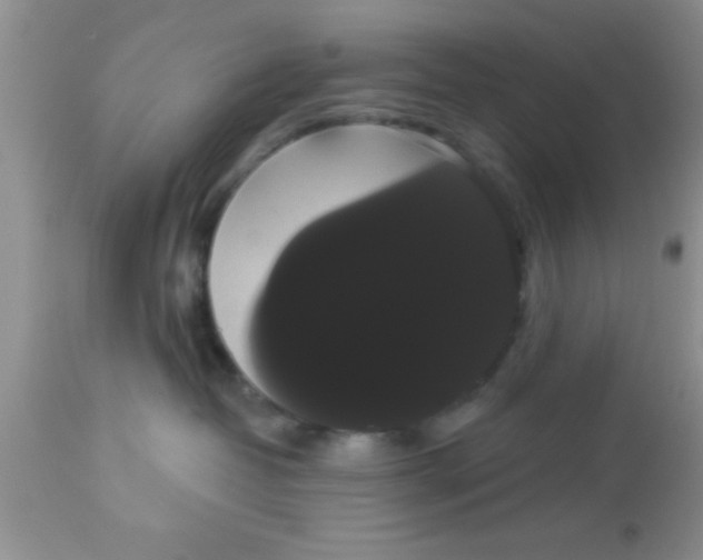 X0000113060382200909182007