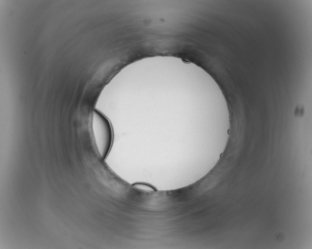 X0000113060384200909182007