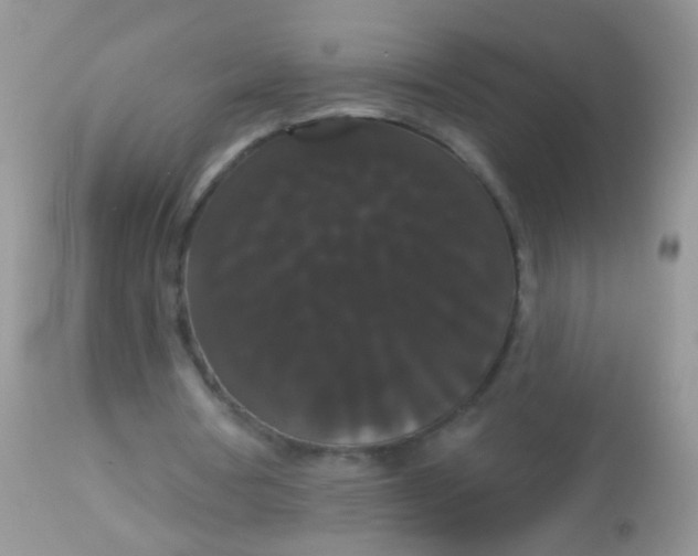 X0000113060386200909182006