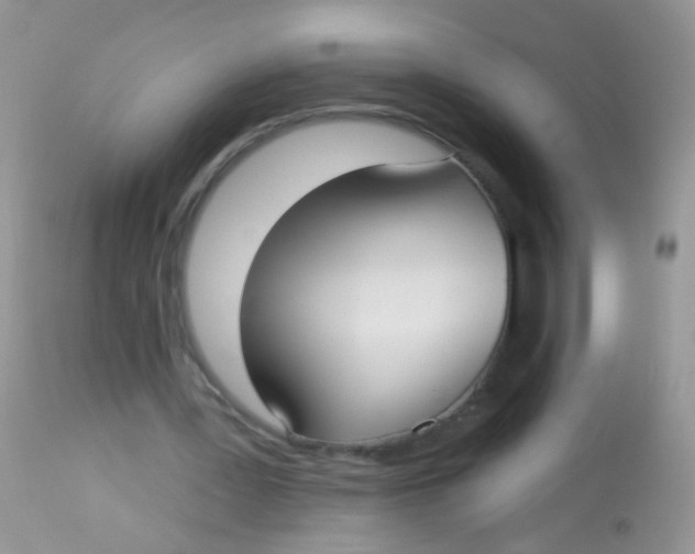 X0000113060387200909182006