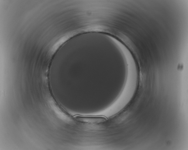 X0000113060389200909182006