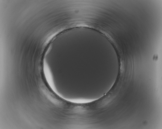 X0000113060390200909182006