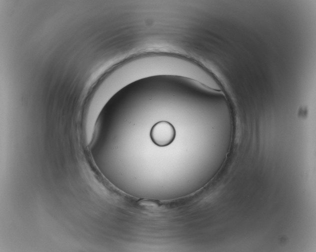 X0000113060391200909182006