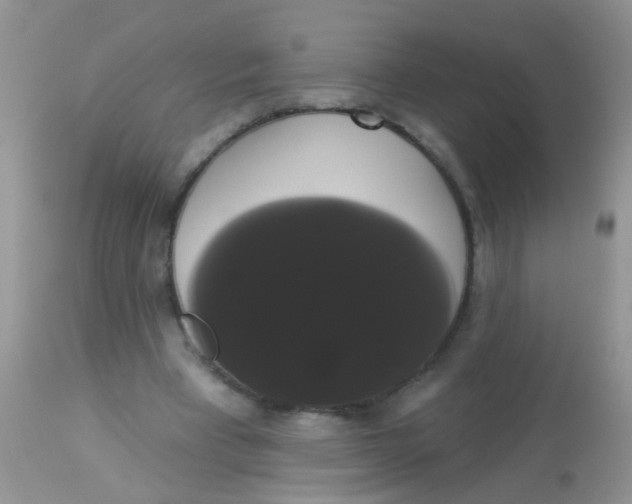 X0000113060393200909182006