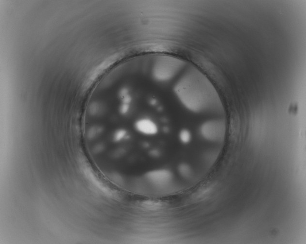 X0000113060394200909182006