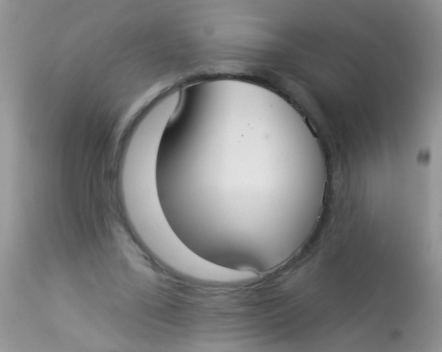 X0000113060395200909182006