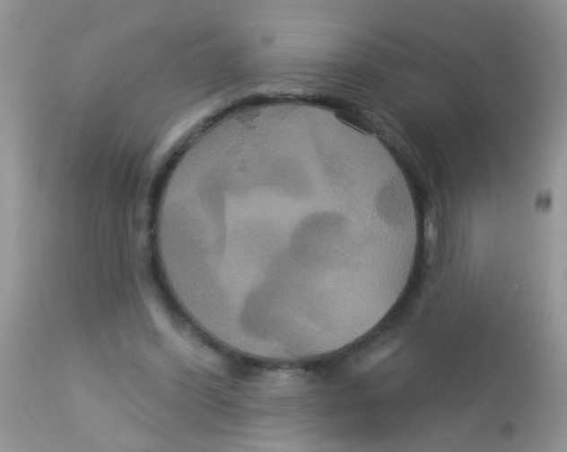 X0000113060396200909182006