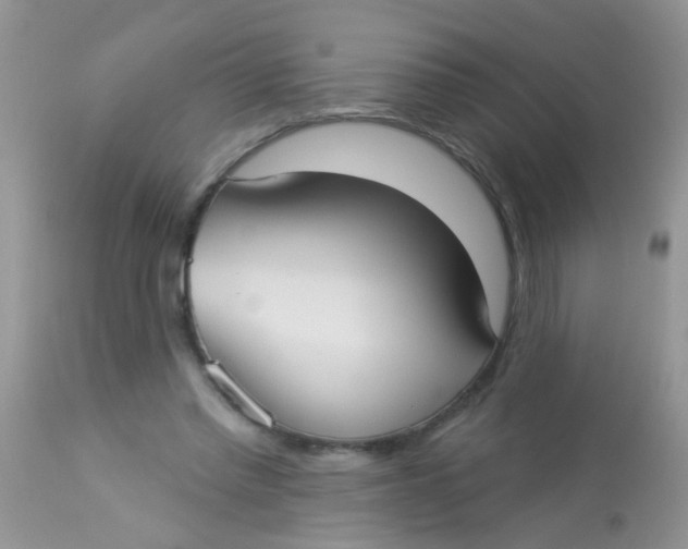 X0000113060397200909182006