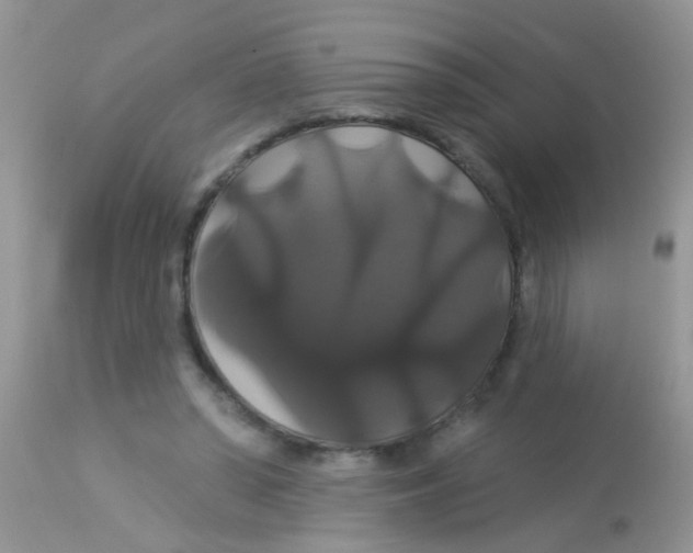 X0000113060398200909182006