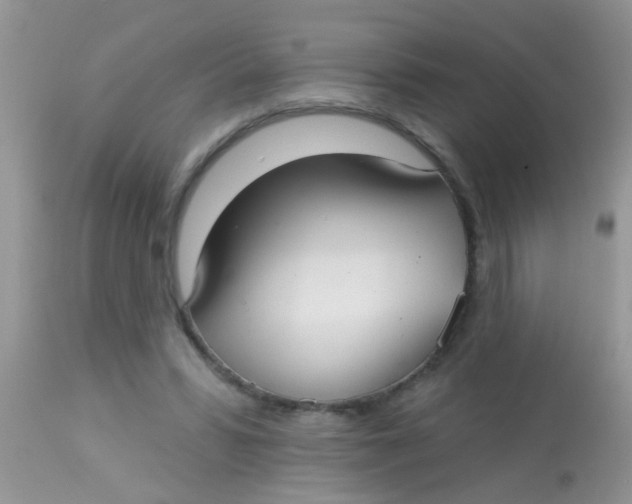 X0000113060399200909182006