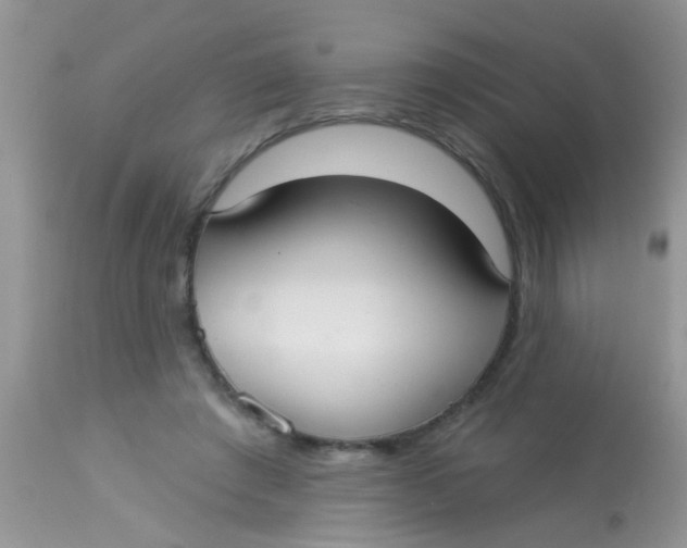 X0000113060401200909182006