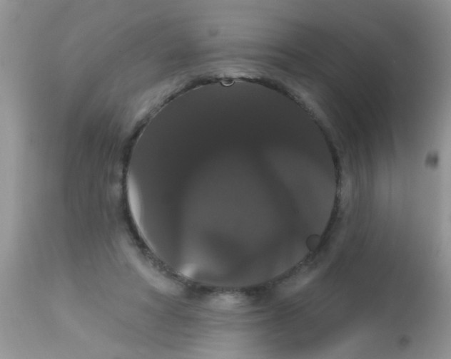 X0000113060402200909182006