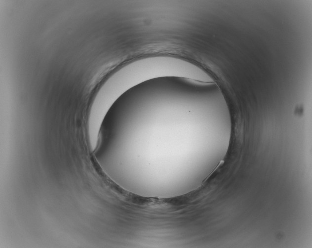 X0000113060403200909182006