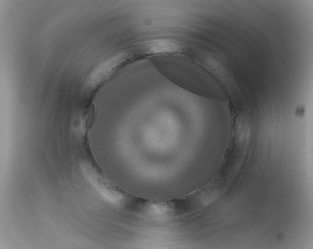 X0000113060405200909182006