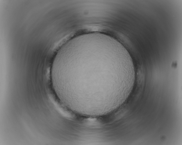 X0000113060406200909182006