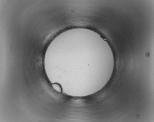 X0000113060407200909182006