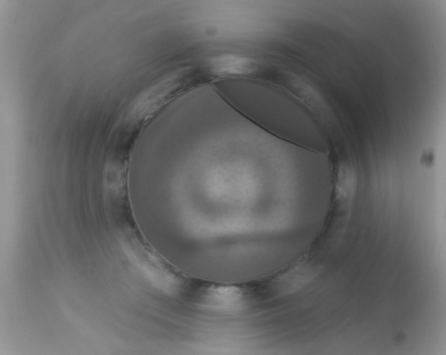 X0000113060409200909182006