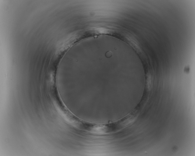 X0000113060410200909182006