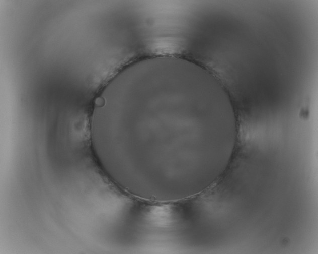 X0000113060411200909182006