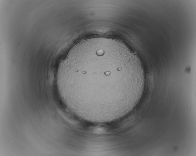 X0000113060412200909182006