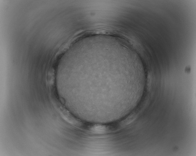 X0000113060413200909182006