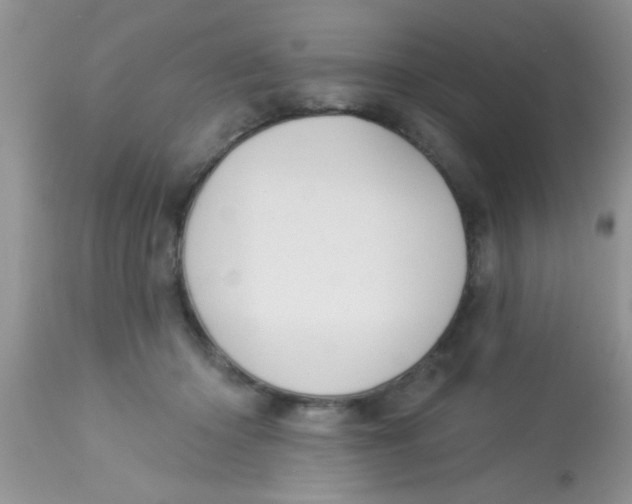 X0000113060414200909182006