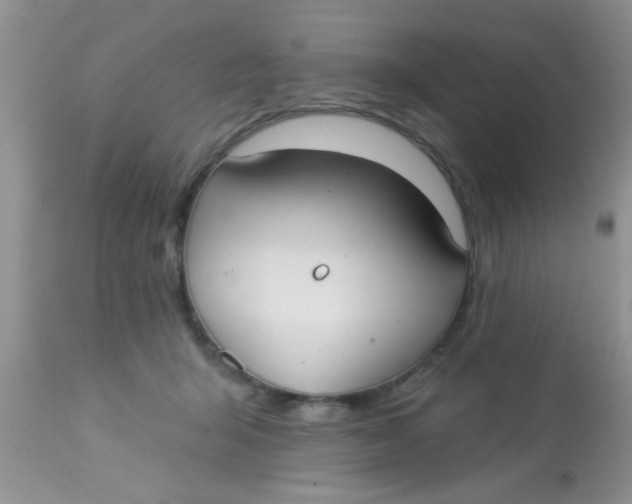 X0000113060415200909182006